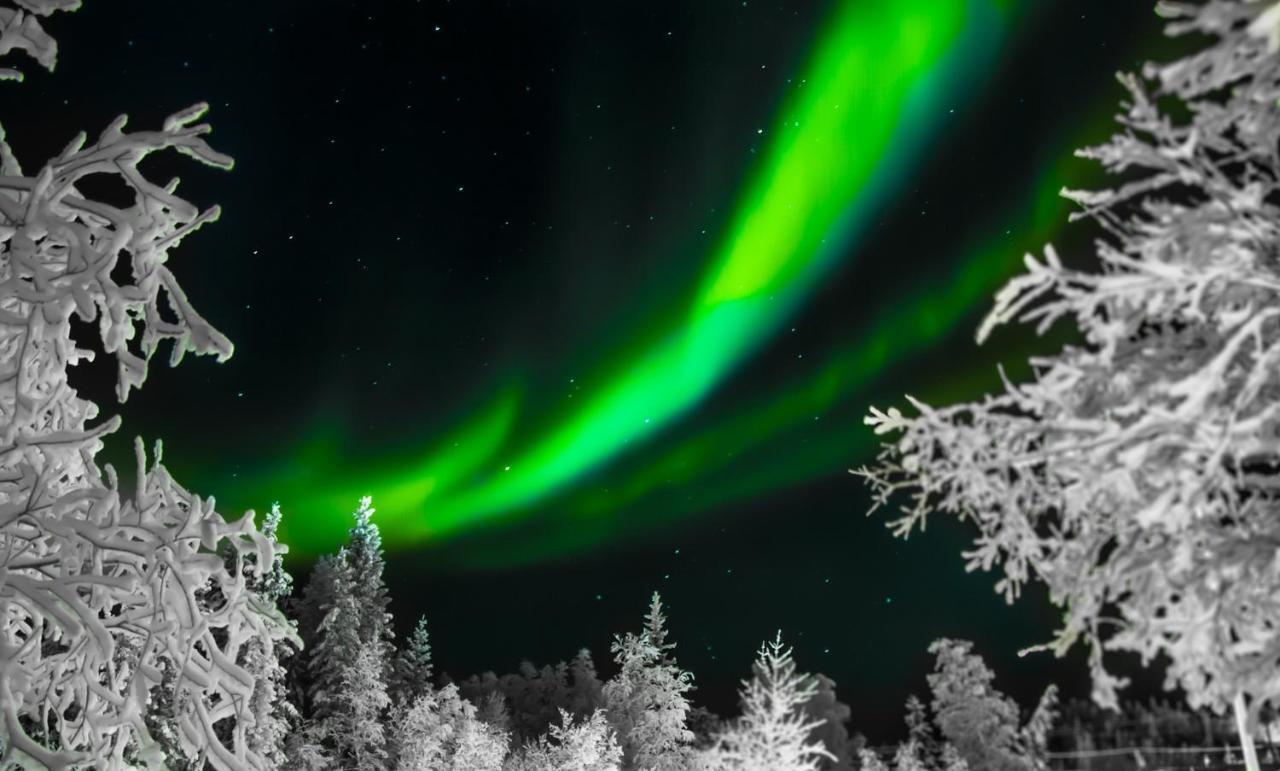 Hostit Cozy Apartments Rovaniemi Dış mekan fotoğraf